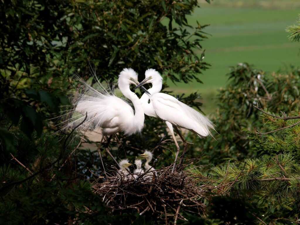 parental intuition neuroscience