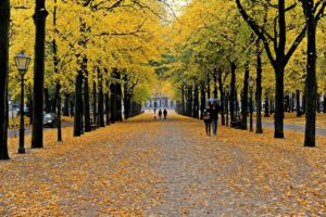 is endbugflow software a software for writing books
