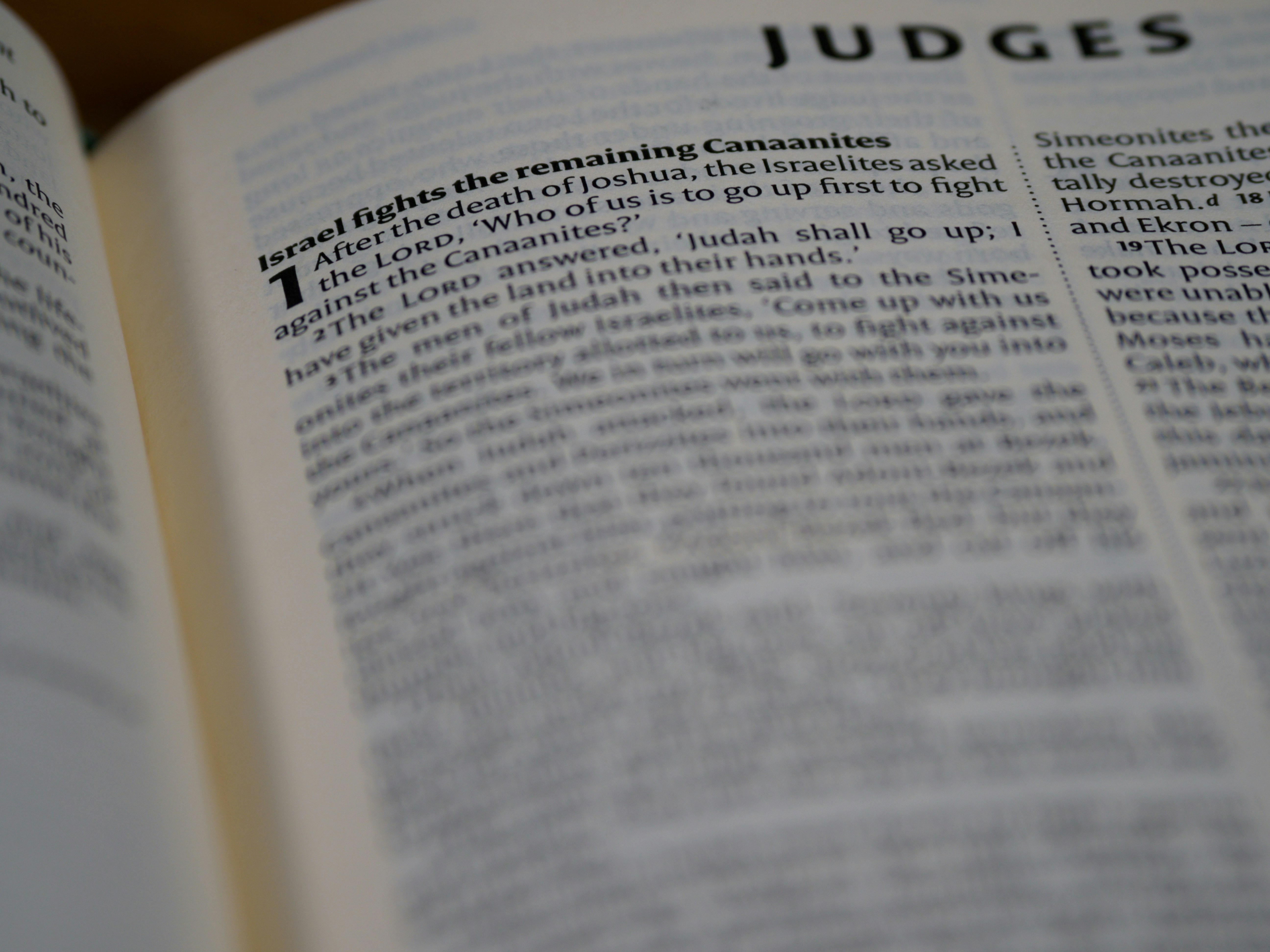 judgment response
