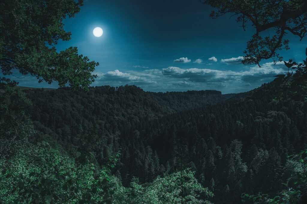 parenting guilt at night