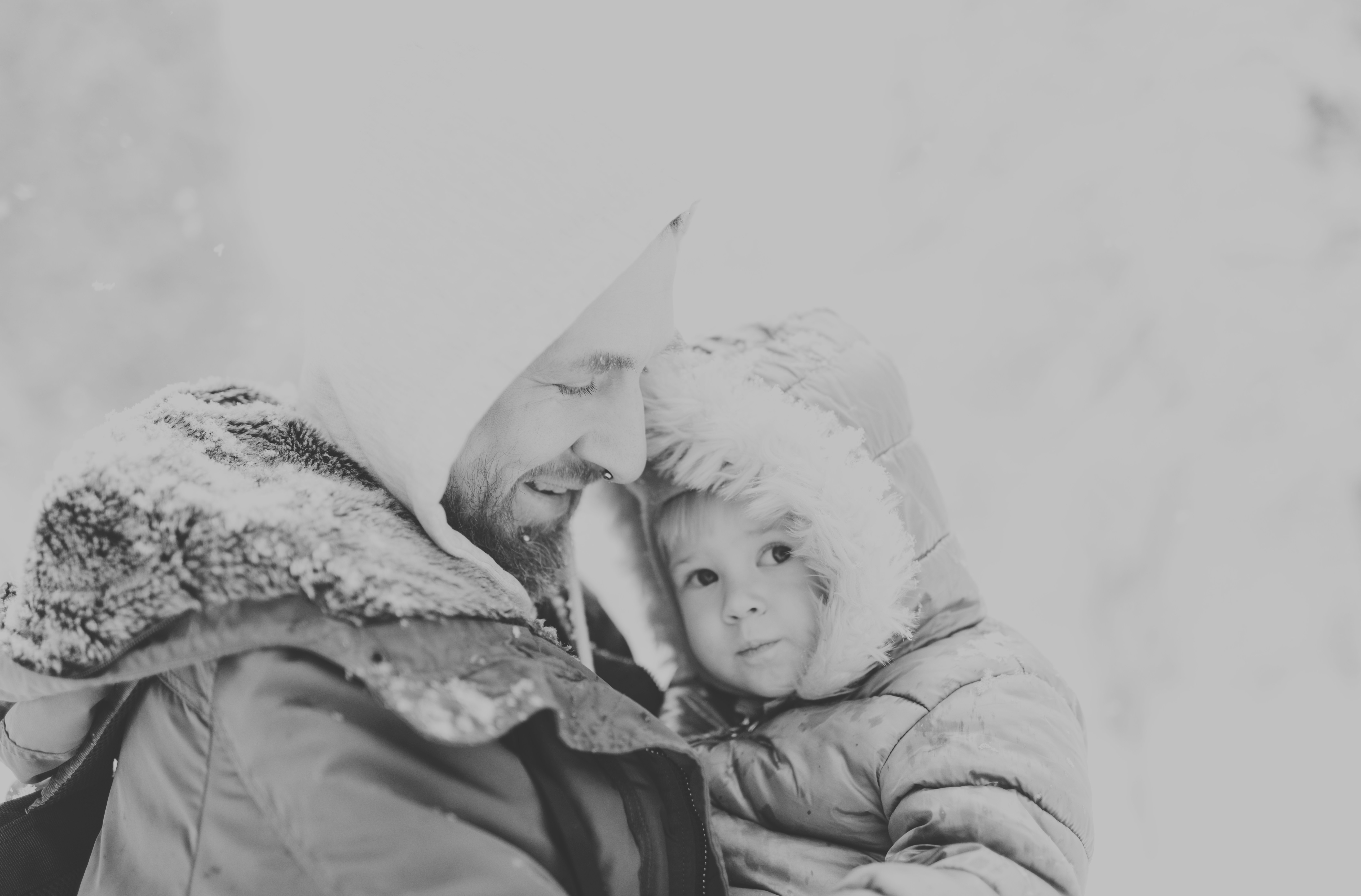 modern fatherhood