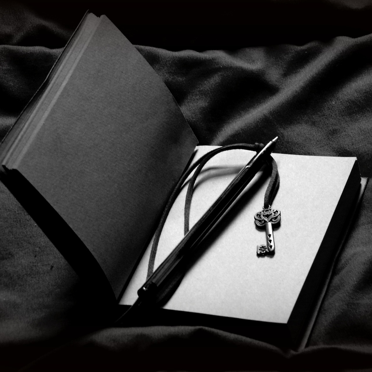night journal