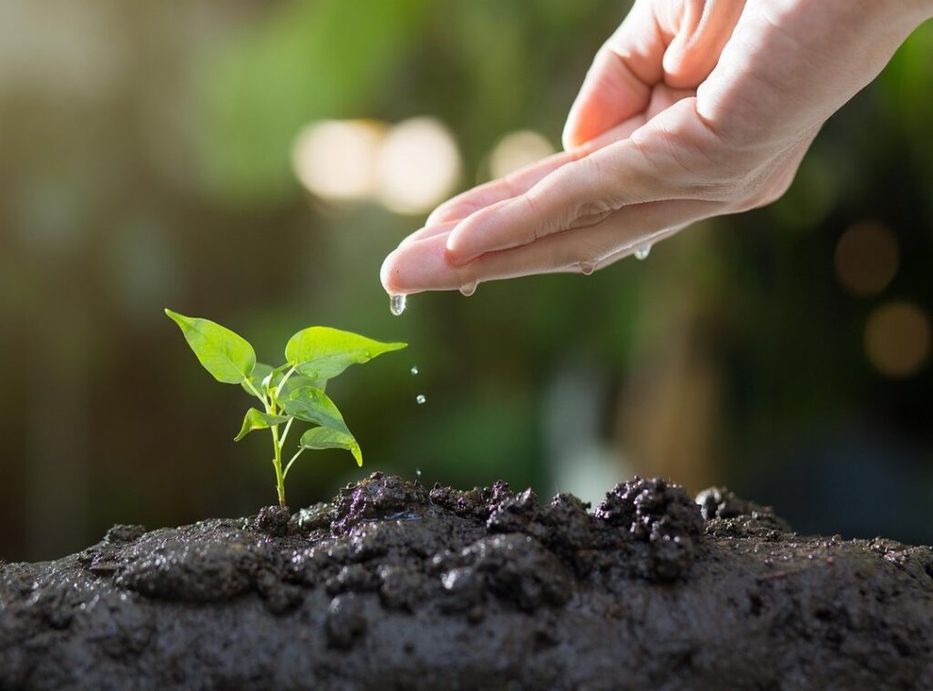 Nurturing Guide Nitkaparenting